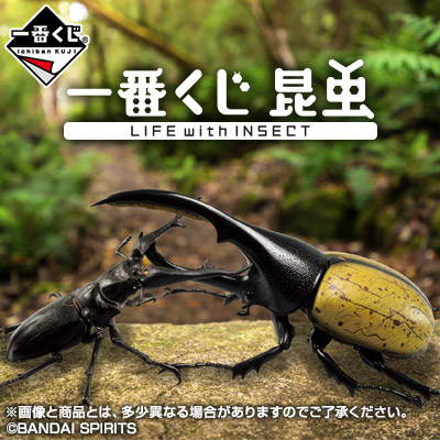 一番くじ 昆虫 LIFE with INSECT│株式会社BANDAI SPIRITS（バンダイ