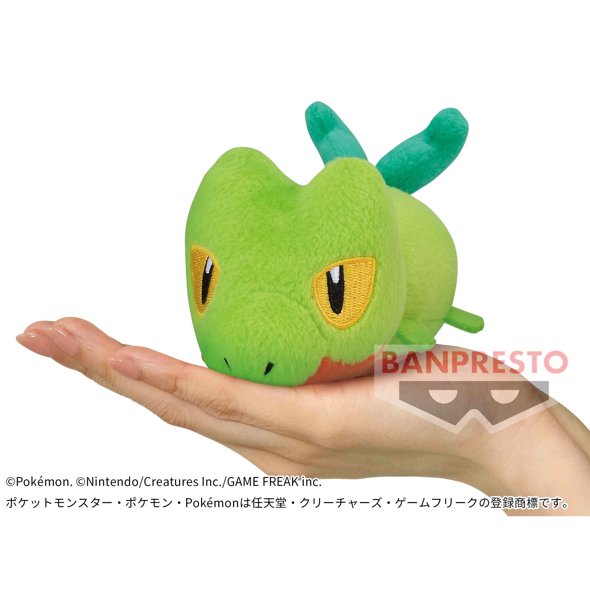 ポケットモンスター てにのるころりんフレンズ ぬいぐるみ～キモリ 