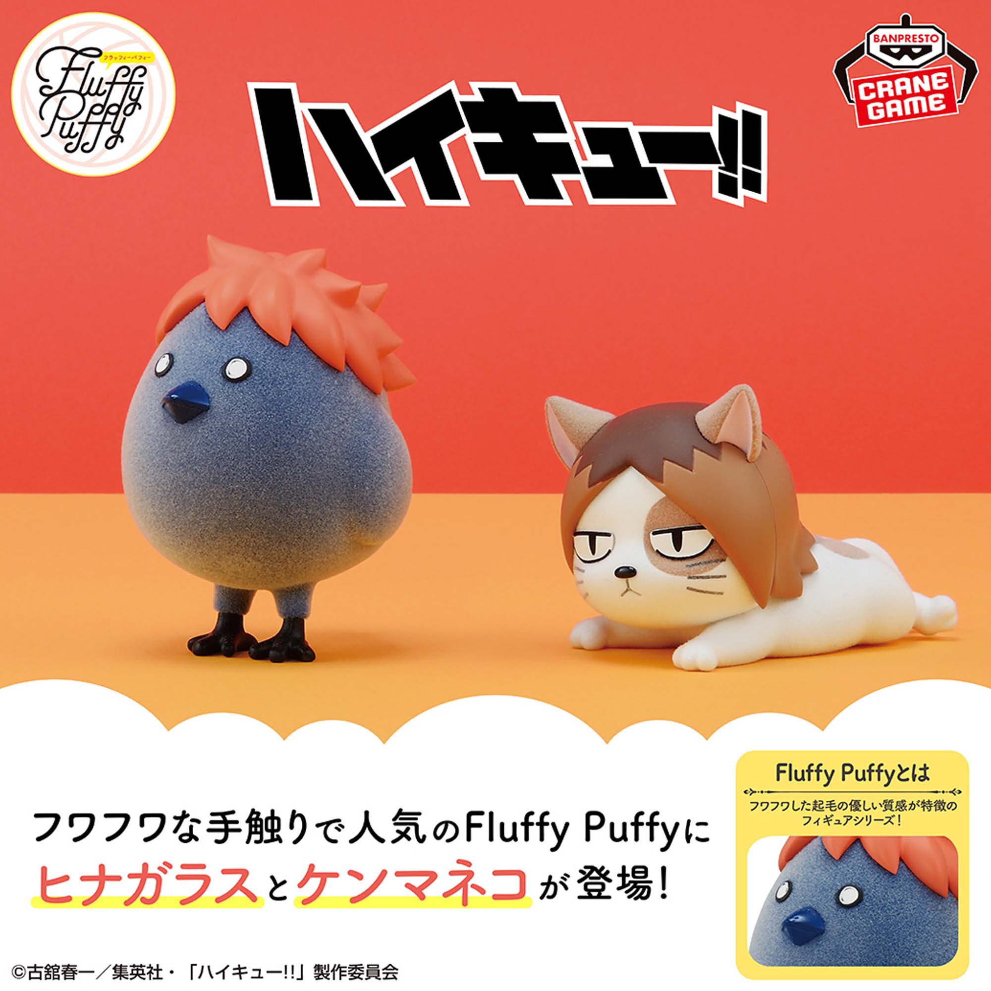 ハイキュー!! Fluffy Puffy～ヒナガラス＆ケンマネコ～